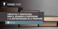 Conceptos y perspectivas para el desarrollo profesional y la sustentabilidad de la profesión