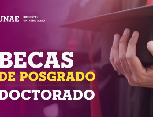 Aprobación Becas de Posgrado Programa de Doctorado en Educación 2024