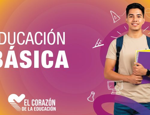 Educación Básica – En Línea