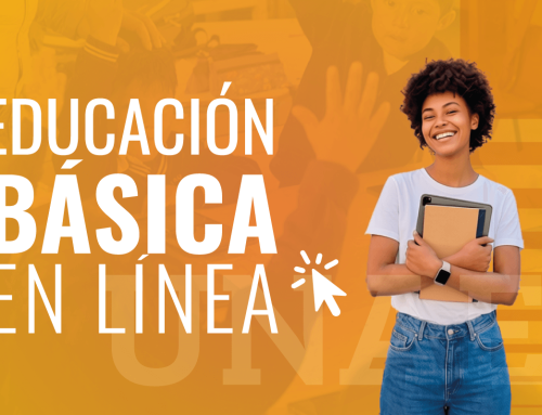 Educación Básica – En Línea