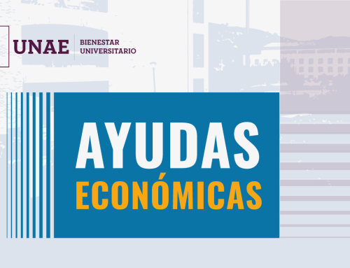 Bases de Postulación para Ayudas Económicas IS2026