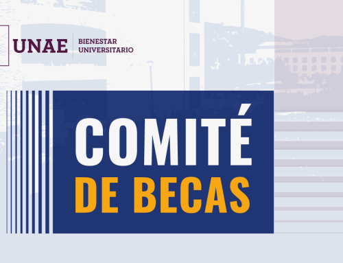 Bases de Postulación a Becas de Renovación IS2026