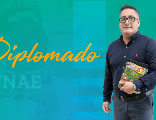 Diplomado en Investigación Educativa