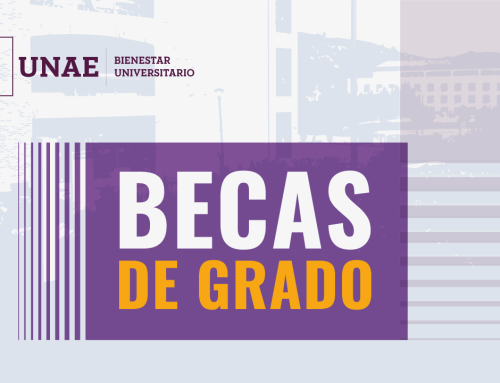 Bases de Postulación Becas de Grado IIS2026
