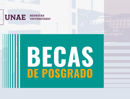Bases de postulación Maestría en Educación y Maestría en Gestión de la Calidad y Liderazgo Educativo